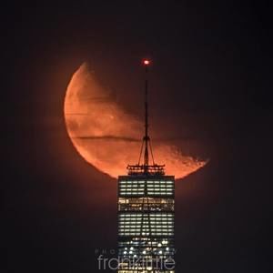 Meet your Posher, Robert